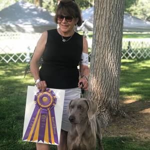 Meet your Posher, Susan